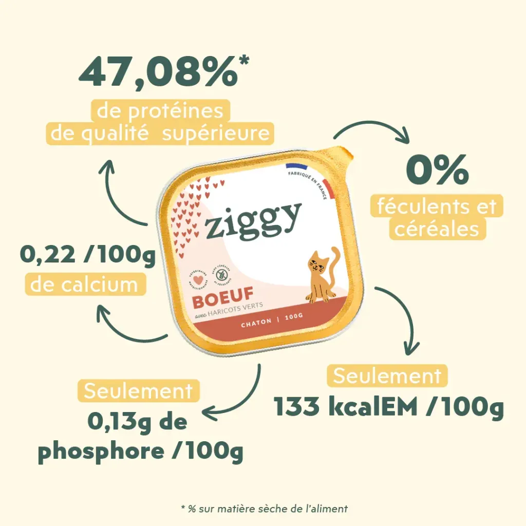 pateechaton-PCHBF1_3.webp