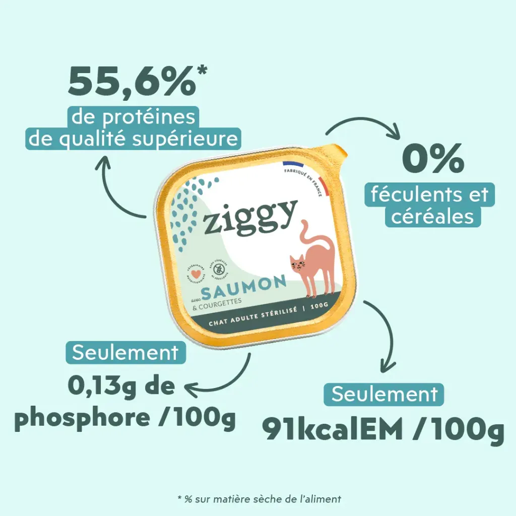 Pateechat-PSTPN1_3.webp