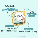 Pateechat-PSTPN1_3.webp