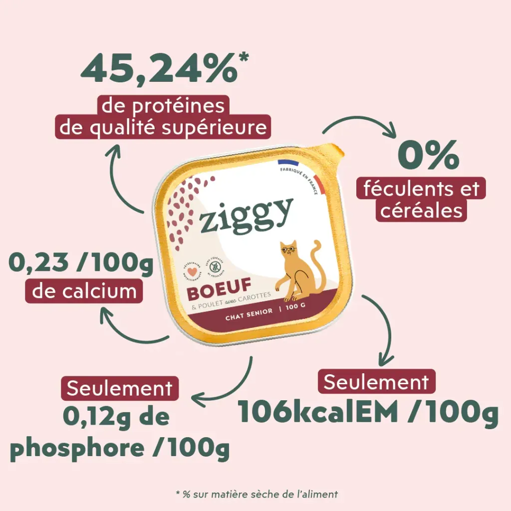 pateechat-PSRBF1_3.webp