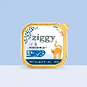 pateechat-PSTBC1_1.webp