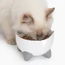 Catit - Kit Abreuvoir et Mangeoire Pixi Combo pour Chats blanc 3.webp