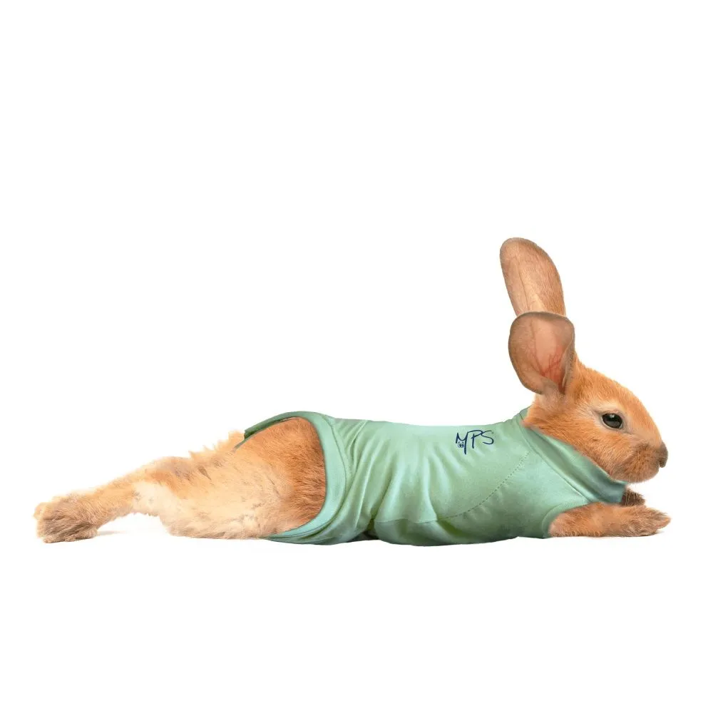 Medical-Pet-Shirt-rabbit-2-8481.webp