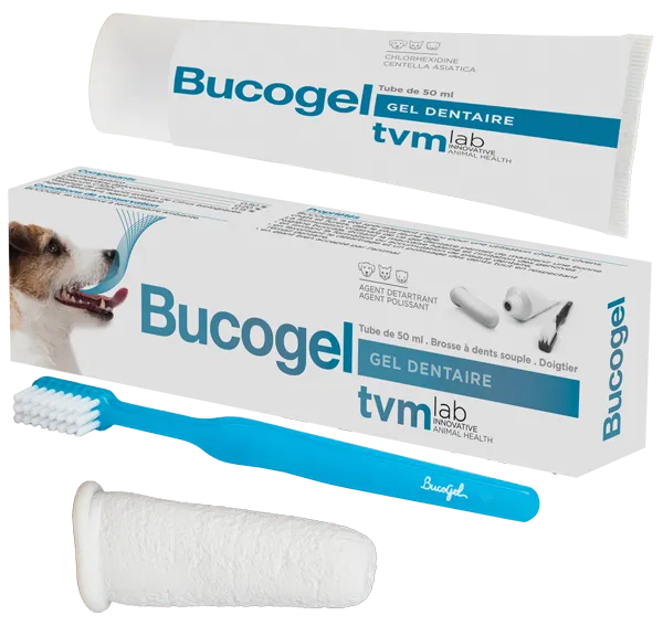 BUCOGEL Gel dentaire + Brosse 50 ml