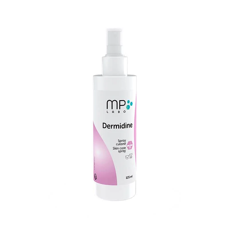 DERMIDINE Spray cutané - 120ml