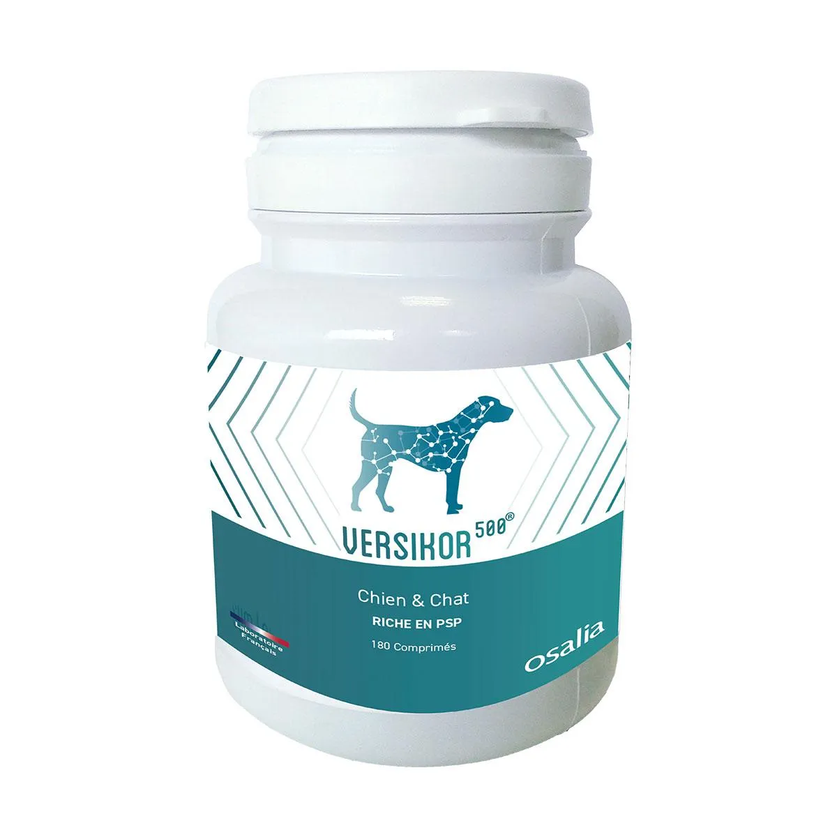 Versikor 500 Chien & Chat riche en PSP - Boite de 180 cps