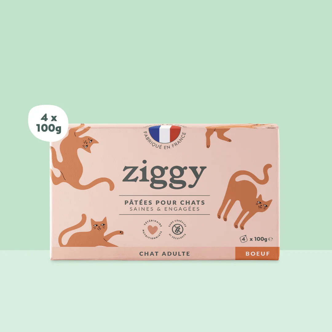 ZIGGY Pâtée Chat Entier Sans Céréales Boeuf - 4x100g