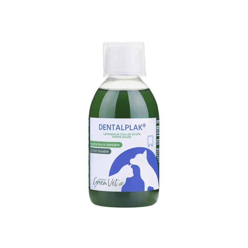 Dentalplak 250 ml