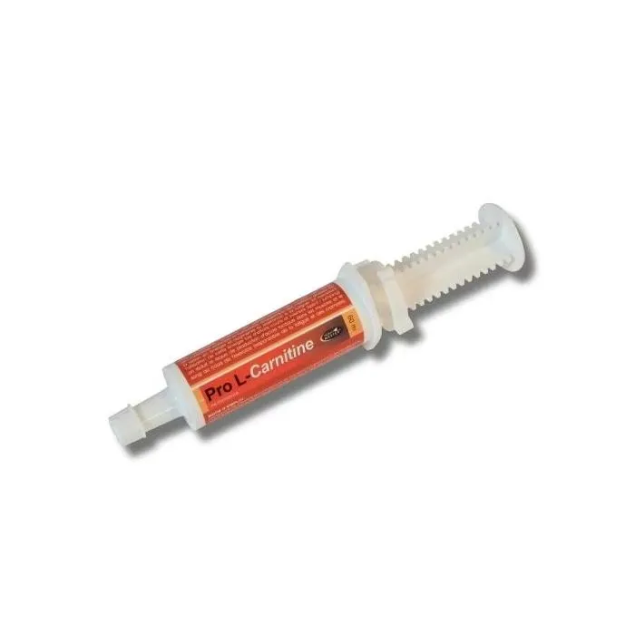[38405] Horse Master Pro L-Cartinine Booster énergétique cheval compétition, résistance, fatigue musculaire, CSO, dressage & endurance - 1x60ml