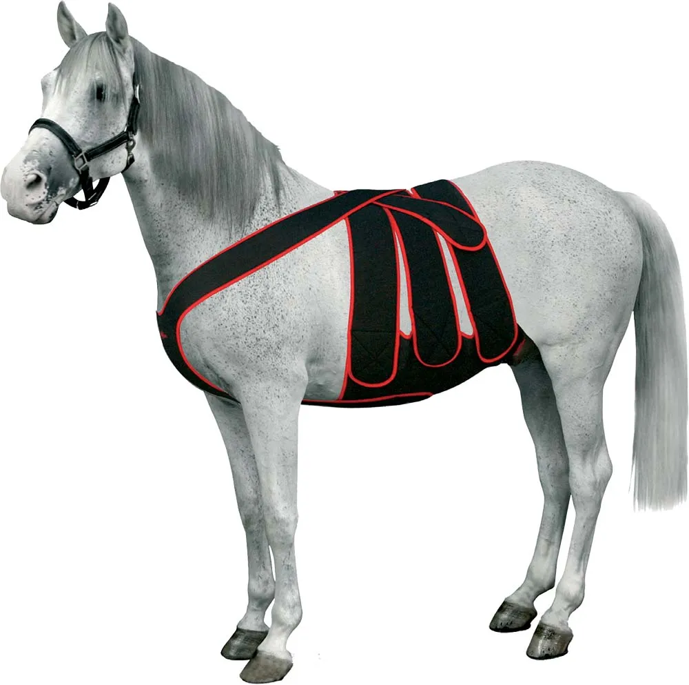 Bandage Complet Post-Opératoire Cheval Ceinture Abdominale
