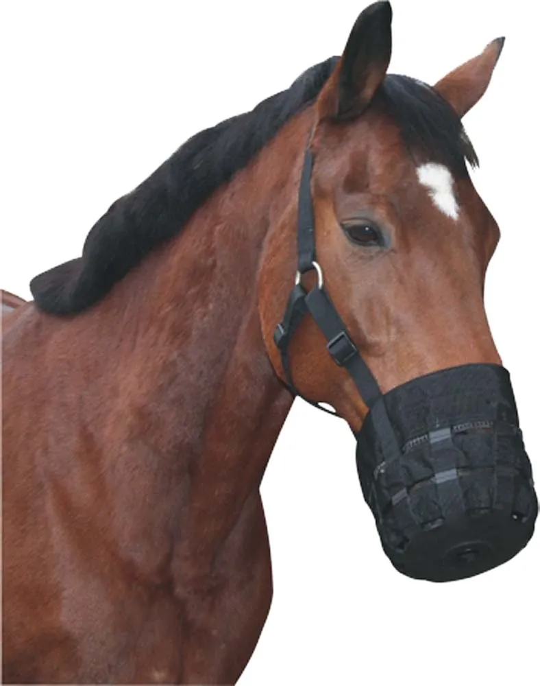 Muselière en nylon - cheval de selle x1