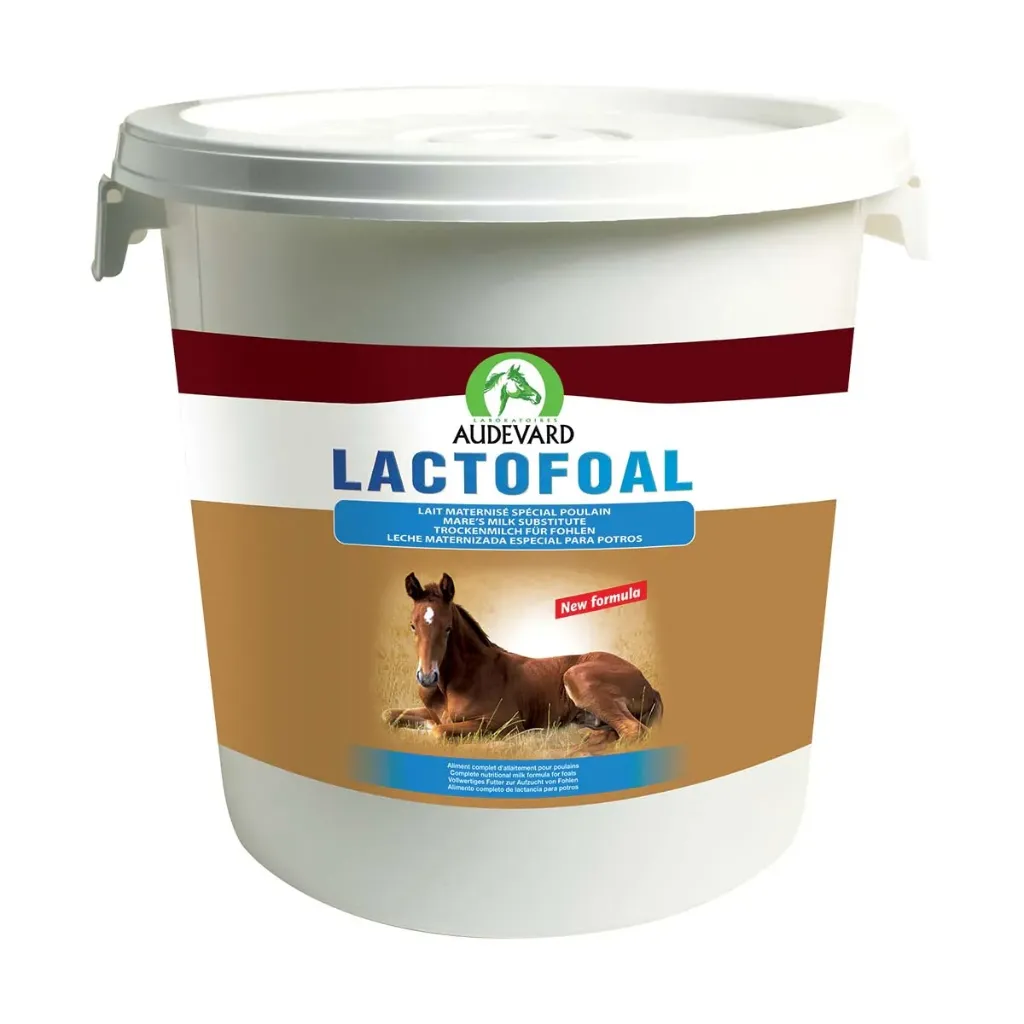 [2302] LACTOFOAL – Lait maternisé pour poulain – Fût de 14 kg