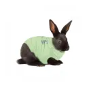 Body medical pet shirt pour lapin - Taille XXS